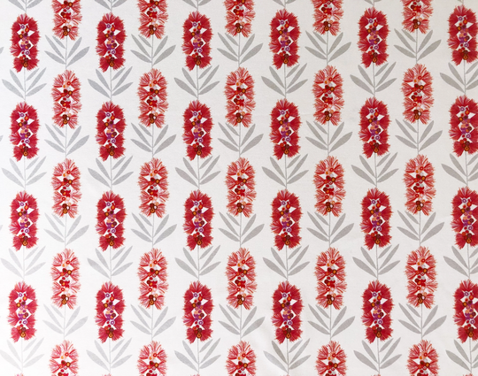 Blooming Bottlebrush Flowers All Over Ivory Quilting Cotton Fabric By 1/4, 1/2 Yard Or Fat Quarter, Australian Native Floral