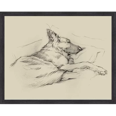 'Dog Days IV' Framed Drawing Print