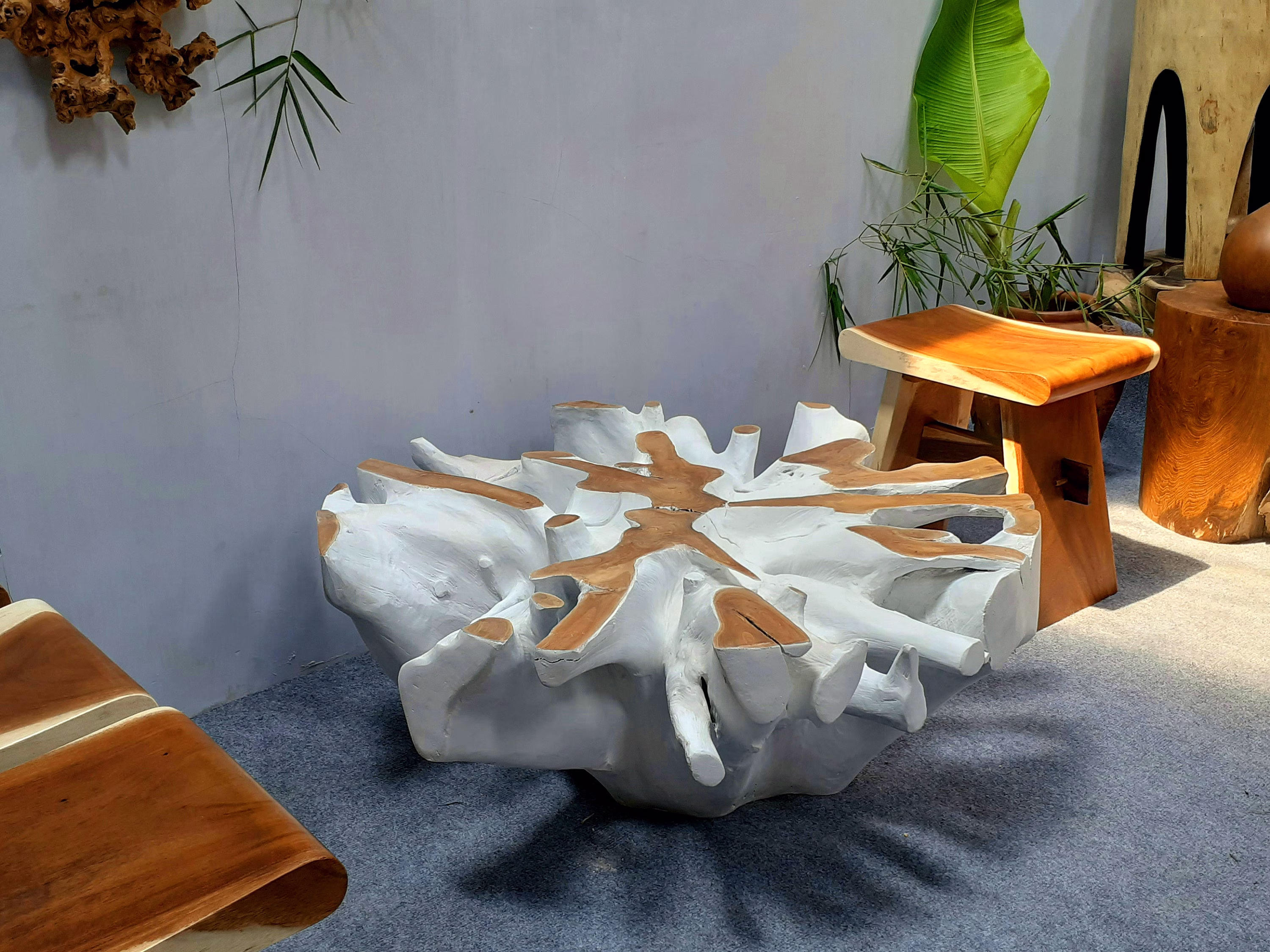 40" White Teak Root Coffee Table - Natural