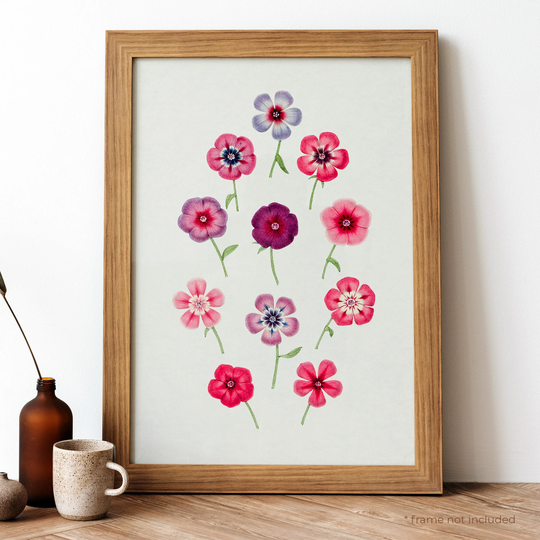 Colorful Phloxs Vintage Poster, Pink & Violet Flowers Retro Print, Antique Botanical Poster | Bt23