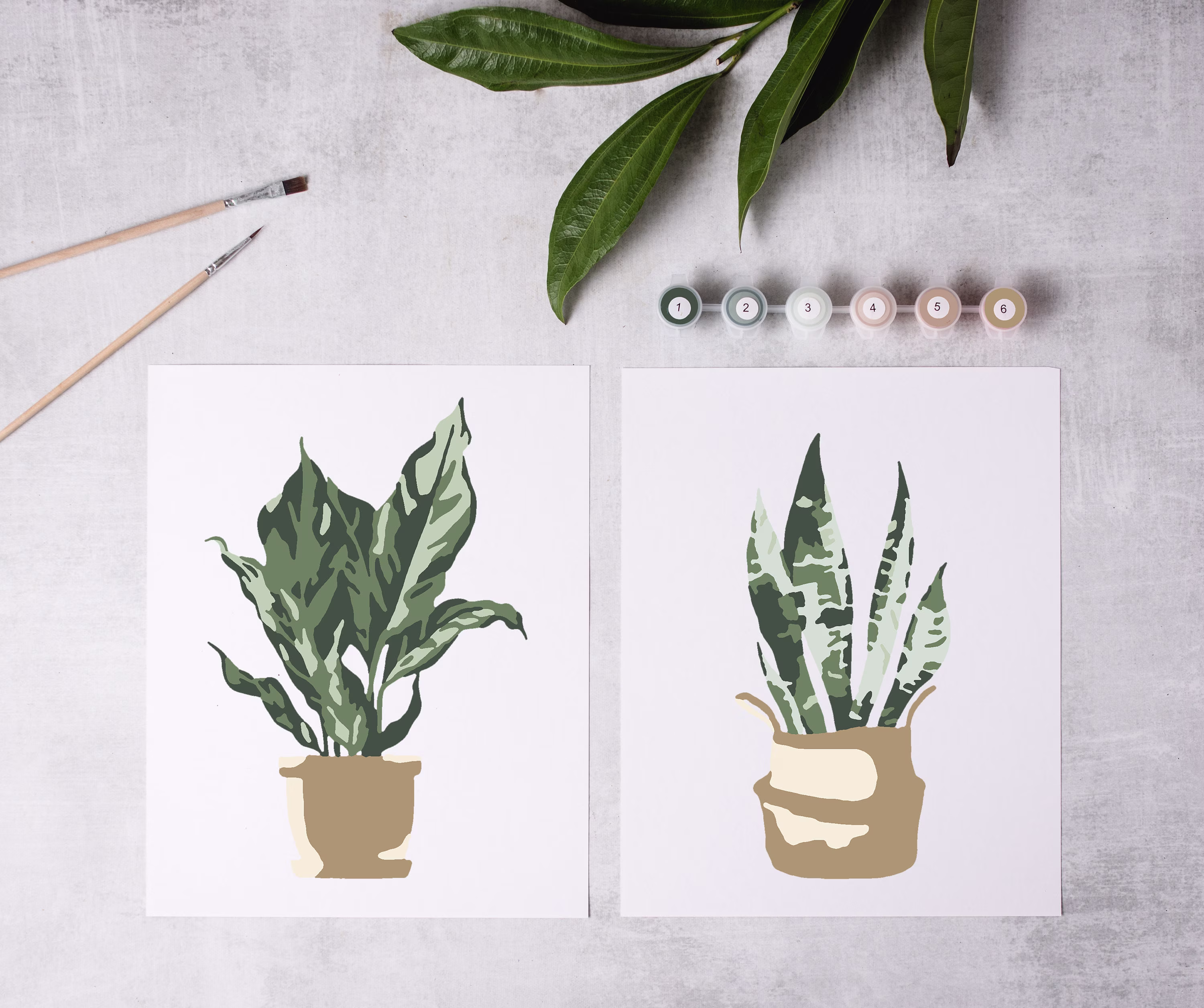 Potted Plants Paint By Number Kit/Color Kit/Mothers Day Gift/Kids Crafting Kit/Adult Coloring Kit/Modern