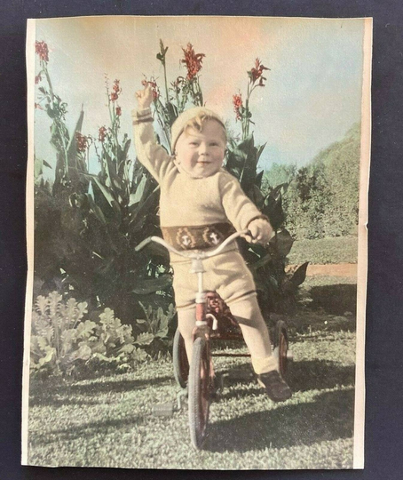 Old Photo Color Tint Cute Little Boy On Tricycle Trike 8.5"x6.5"