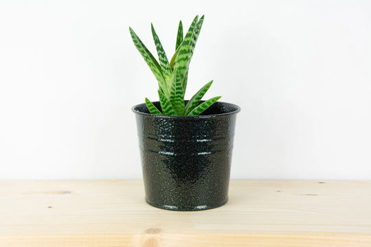 Metal Plant Pot - Antique Green Color Planter Succulent Home Decor Holder Bucket