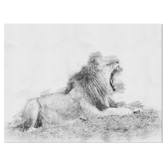 Designart 'Black and White Lion Pencil Sketch' Animals Painting Print on Wrapped Canvas