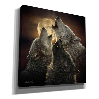Millwood Pines 'Wolf Trinity' By Collin Bogle, Canvas Wall Art