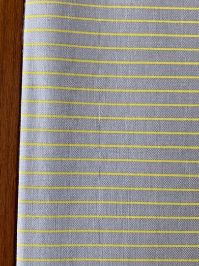 Tiny Stripes in Spark | True Colors Collection Fabric By Tula Pink | Half Yard