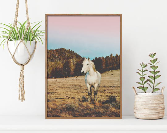 Colorful Wilderness Landscape | Horse Photography Large Wall Art Nature Forest Montana Rural Countryside Boho