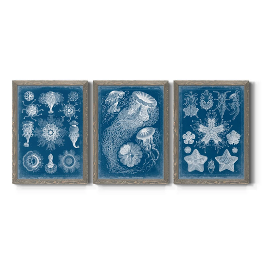 Marine Blueprint I-Premium Framed Canvas - Ready to Hang - Multi-Color