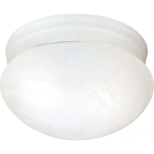 2-Light 10 In. Flush Mount