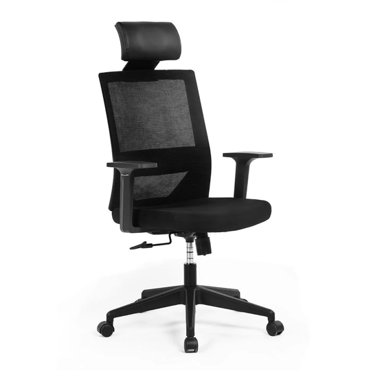 EYIW Ergonomic office chair mesh computer chair, High Back Desk Chair with Adjustable Lumbar Support, PP fixed handrail.