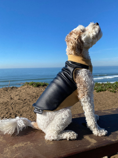 The Coco Dog Sweater With Quilted Vegan Leather | Coat, Jacket, Jumper, Pullover, Small Dog, Fleece