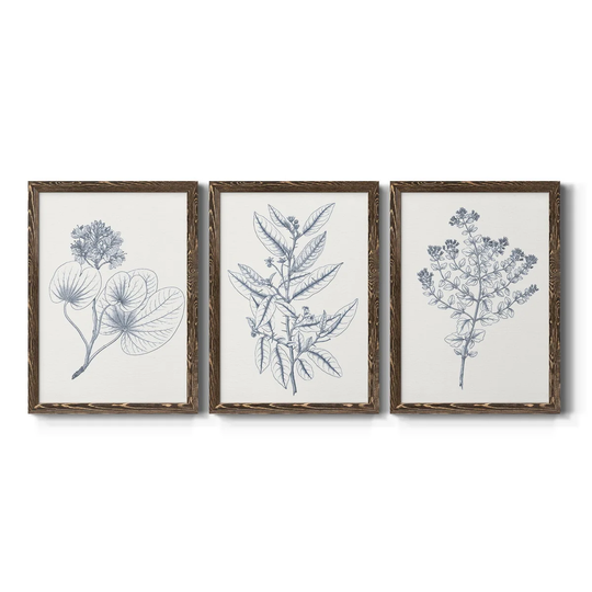 Indigo Botany Study IV-Premium Framed Canvas - Ready to Hang - Multi-Color