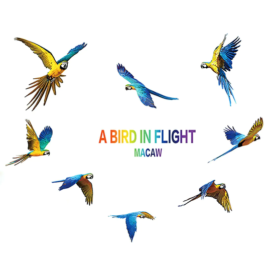 Home PVC Parrot Pattern Self-adhesive Wall Sticker Film Decal 60x45cm - Colorful - 24" x 18"(L*W)