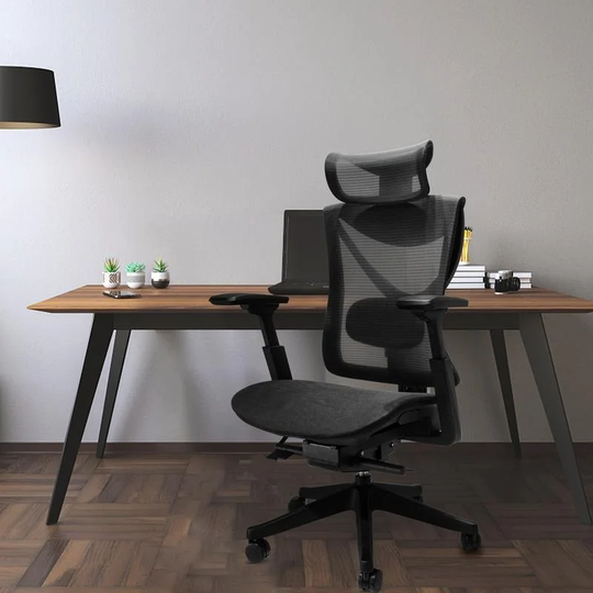 Office Chair with Adjustable lumbar support and slide seats