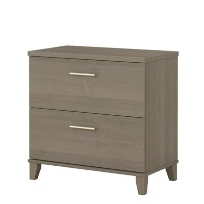 Whidden 2 Drawer Storage Chest
