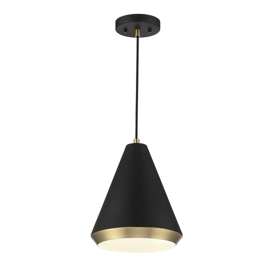 Meridian 1-Light Pendant in Matte Black with Natural Brass