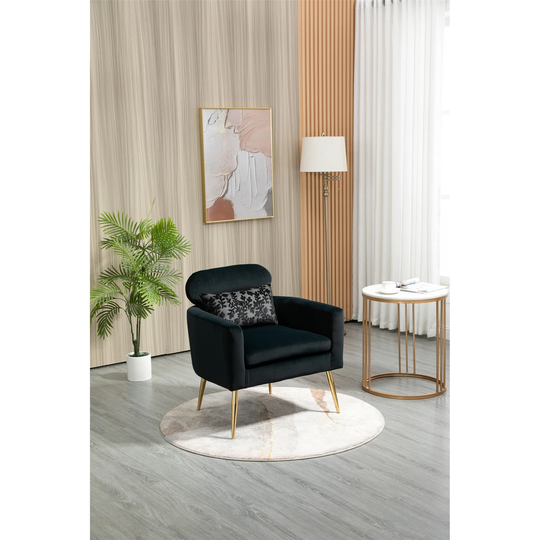 Velvet Accent Chair Living Room Armchair Lounge Chair, Black
