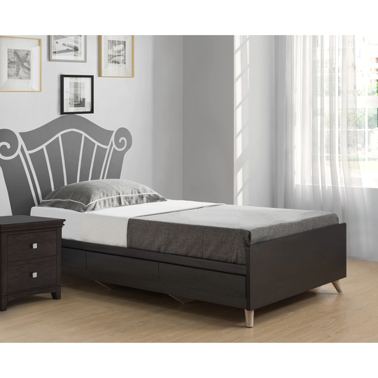 DH BASIC Contemporary Cappuccino 3-drawer Storage Bed by Denhour