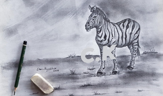 Zebra Original Graphite Drawing 30cm X 42cm Signed By Artist, African Wall Decor, Wildlife Pencil Art
