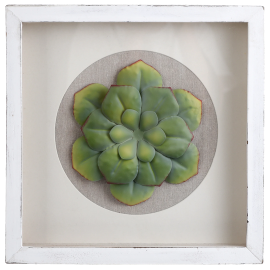 StyleCraft Shadow Hello Friend IV Inner Green Iron Flower Shadowbox Wall Art - Multi-Color
