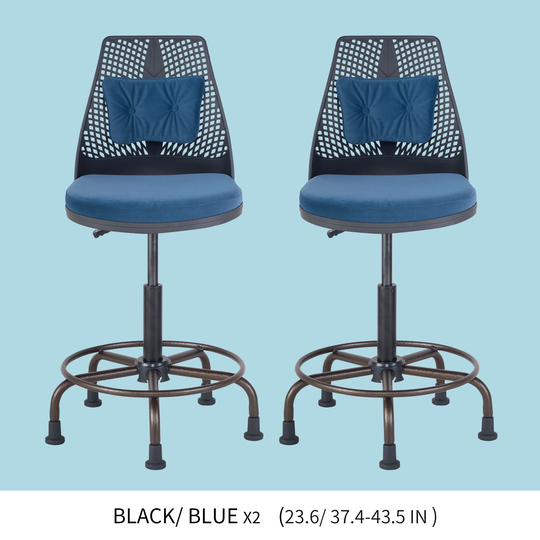 2 Office Chairs