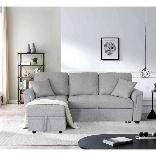 Unique Design Storage Sofa Bed