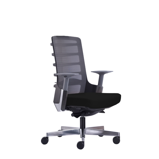 Rye Studio Mesh Mid-Back Ergonomic Modern Office Chair