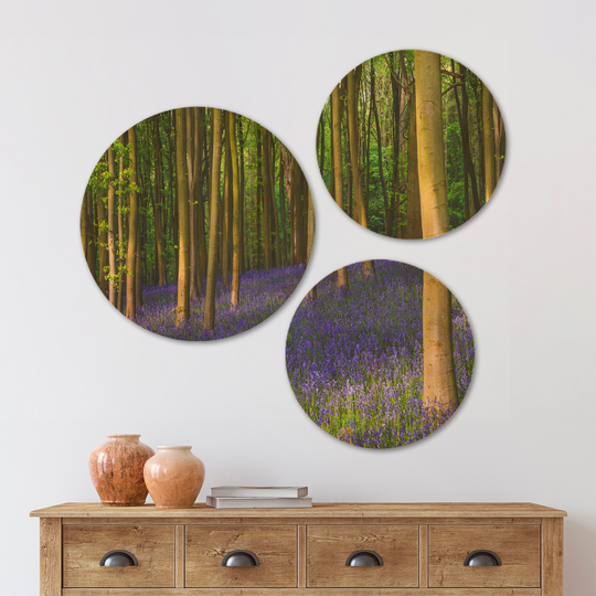 Designart 'Bluebell Woods in Oxfordshire' Landscape Wood Wall Art Set of 3 Circles - Multi-Color