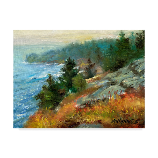 Hall Groat Ii 'White Head Monhegan Island' Canvas Art - Multi-color