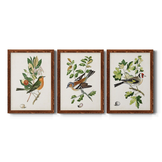 Antique Bird, Botanical & Egg I-Premium Framed Canvas - Ready to Hang - Multi-Color