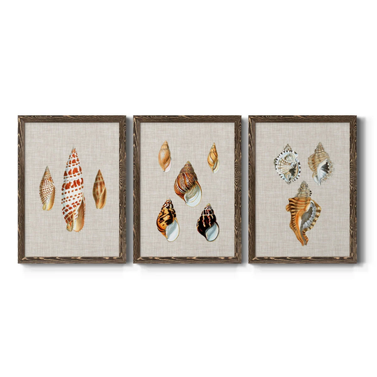 Antique Shells on Linen I-Premium Framed Canvas - Ready to Hang - Multi-Color