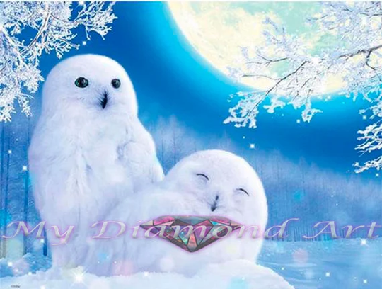 5D Diy My Diamond Art | Snowy White Owls Painting Kit | New