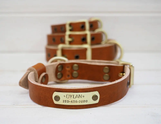 Art Of The Pet Leather Dog Collar, Collar Leather, Free Id Tag, Brown Personalized