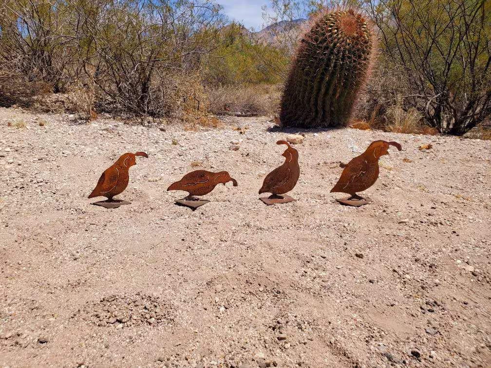 Metal Quail Family Set Of Four/Handmade Steel 9 Inch Tall On Four Metal Bases Southwest Desert Bird Sculpture Yard Art