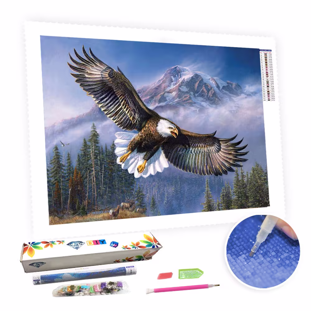 5D Diy Square Round Diamond Painting Kit Full Drill-Flying Eagle-Diy By Number Rhinestone Pasted For Home Wall Decor