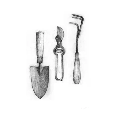 Farm and Garden V Crop by Avery Tillmon - Wrapped Canvas Drawing Print