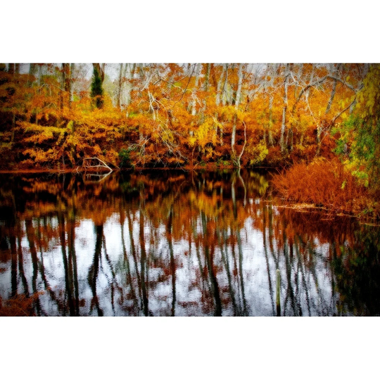 CANVAS Fall Pond Colors II by Jobe Waters Graphic Art Photography