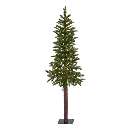 5' Alaskan Alpine Christmas Tree with 100 Clear LED Lights - Green