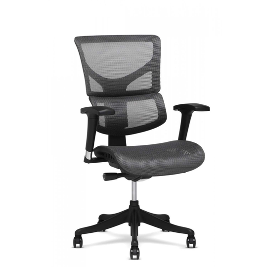 X1 Flex Mesh Task Chair by X-Chair by X-Chair