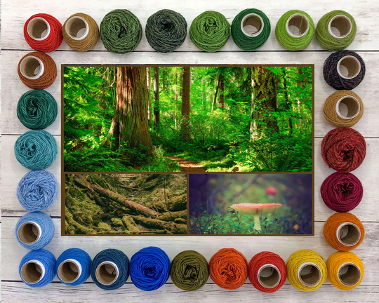Wool Yarn Kit For Tapestry Weavers - Woodland Colors
