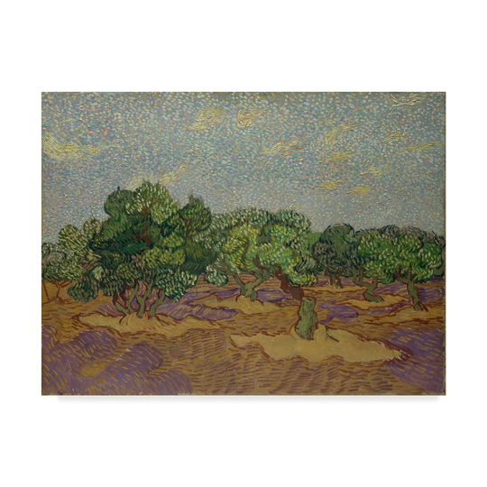Vincent Van Gogh 'Olive Trees' Canvas Art - Multi-color