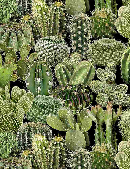 Southwest Cacti - # West-C8425 Green By Timeless Treasures 100% Cotton Woven Fabric Choose Your Cut