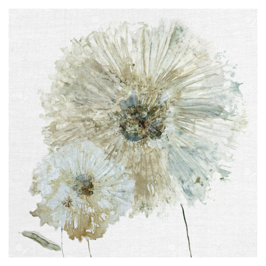 Masterpiece Art Gallery Ivory Spring I Flower by Carol Robinson Canvas Art Print - Multi-color