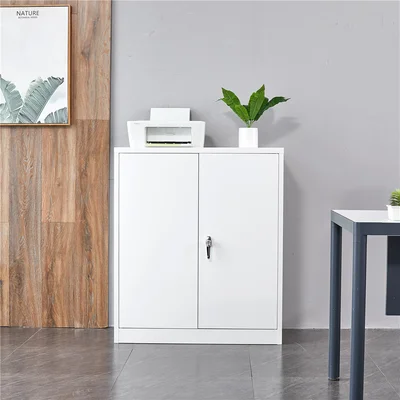 2 - Shelf Filling Storage Cabinet