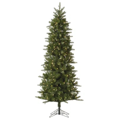Carolina Pencil 10' Green Spruce Artificial Christmas Tree with 550 Dura-Lit Clear Light