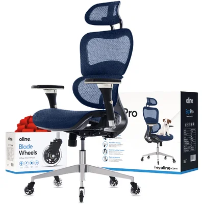 ErgoPro Rolling Ergonomic Mesh Executive Office Chair
