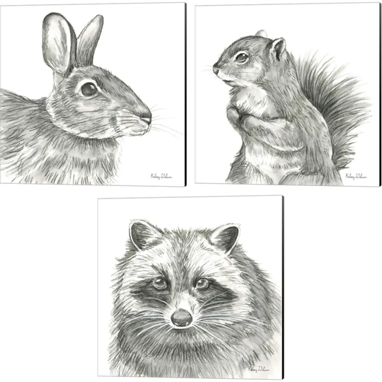 Kelsey Wilson 'Watercolor Pencil Forest (Rabbit, Squirrel & Raccoon)' Canvas Art (Set of 3)