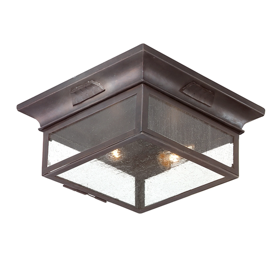 Troy Lighting Newton 2-light Flush