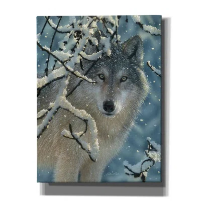 Millwood Pines 'Broken Silence' By Collin Bogle, Canvas Wall Art