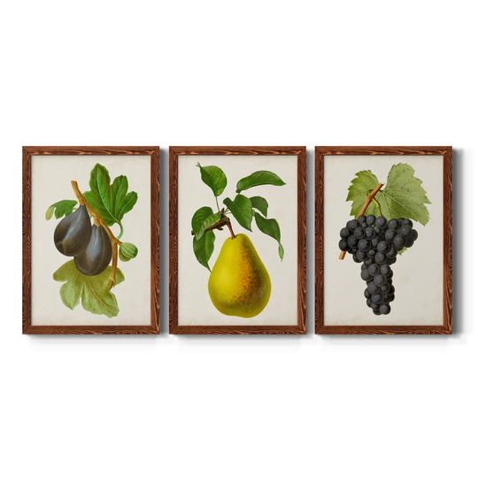 Antique Fruit VI-Premium Framed Canvas - Ready to Hang - Multi-Color